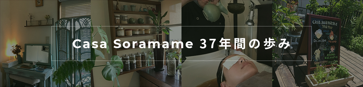 Casa Soramame 37年間の歩み